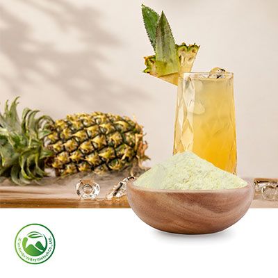 Pineapple Juice Powder by Xi'an Herbs Valley