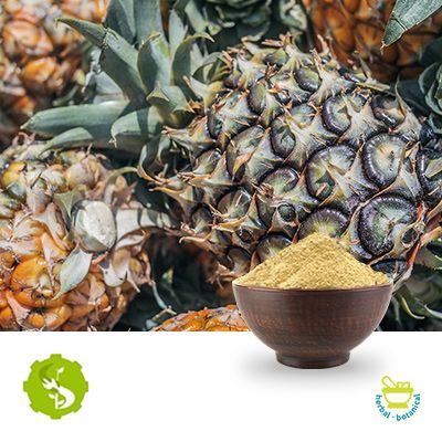 Pineapple Fruit Powder by Hunan Essence