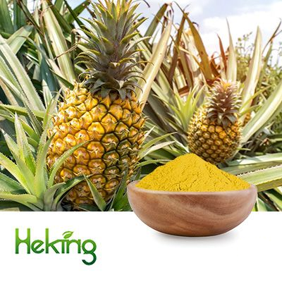Pineapple Juice Powder by Heking