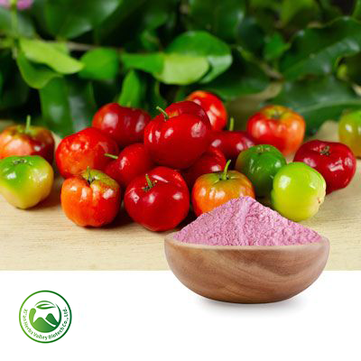 Pink Acerola Cherry Extract 20~30% Vitamin C (10:1) by Xi'an Herbs Valley