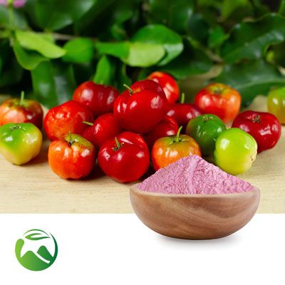 Pink Acerola Cherry Extract 20~30% Vitamin C (10:1) by Xi'an Herbs Valley