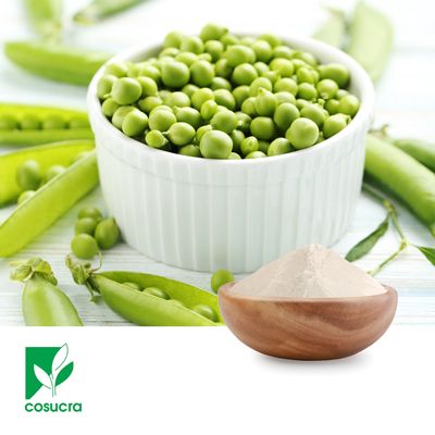 PISANE™ C9 Pea Protein 80% by COSUCRA Groupe Warcoing