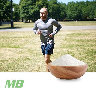 Plant Protein Powder (Vanilla Flavor) by MB Supplements