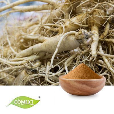 Platycodon Grandiflorum Extract 10:1 by Comext