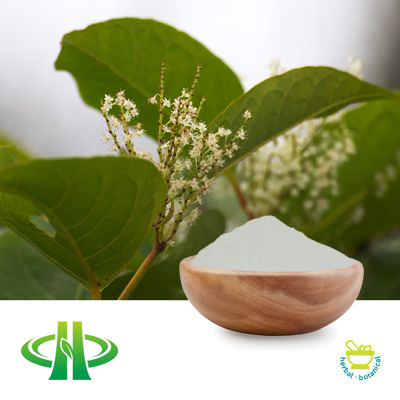 Polygonum Cuspidatum Extract Resveratrol 98% HPLC by Shandong Zhongmin