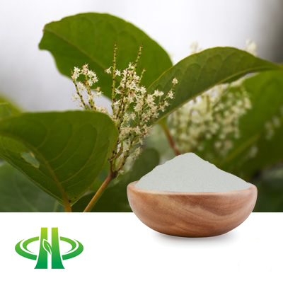 Polygonum Cuspidatum Extract Resveratrol 98% HPLC by Shandong Zhongmin