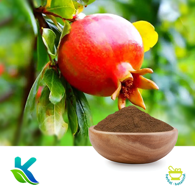 Pomegranate Extract 10:1 by Hunan Naturext