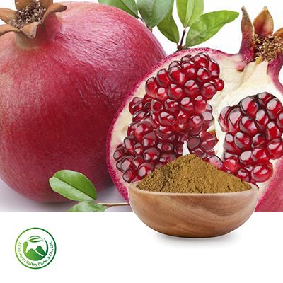 Pomegranate Extract 10:1 by Xi'an Herbs Valley