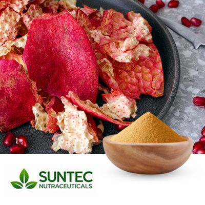 Pomegranate Peel Powder by Suntec Nutraceuticals