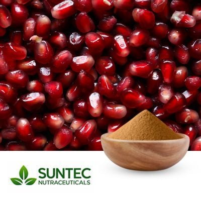 Pomegranate Seed Powder by Suntec Nutraceuticals
