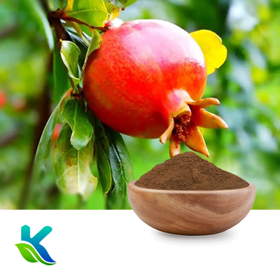 Pomegranate Extract 10:1 by Hunan Naturext