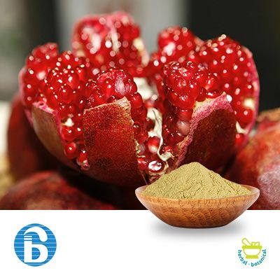 Pomegranate Extract 90% Ellagic Acid by BannerBio
