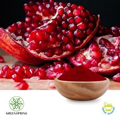 Pomegranate Extract Ellagic Acid 90% Powder by Green Spring