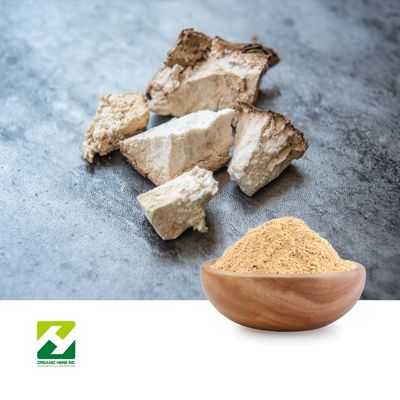 Poria Cocos Extract 40% Polysaccharides by Organic Herb Inc