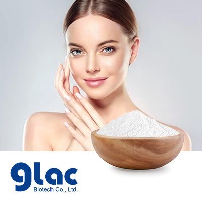 Probiotics Powder-Lactobacillus paracasei GL-156 by Glac Biotech