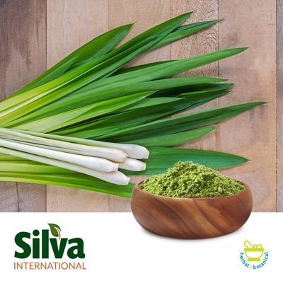 Air Dried Green Onion Powder 60 Mesh by Silva International