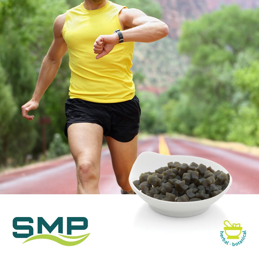 Advanced AM Burner Sugar Free Super Diet Gummy by SMP