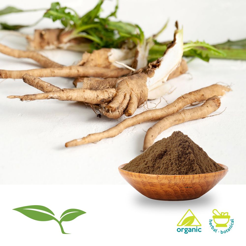 Chicory Root, Roasted Powder by American Botanicals