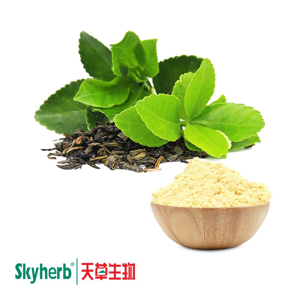Green Tea Extract 60% EGCG by Skyherb