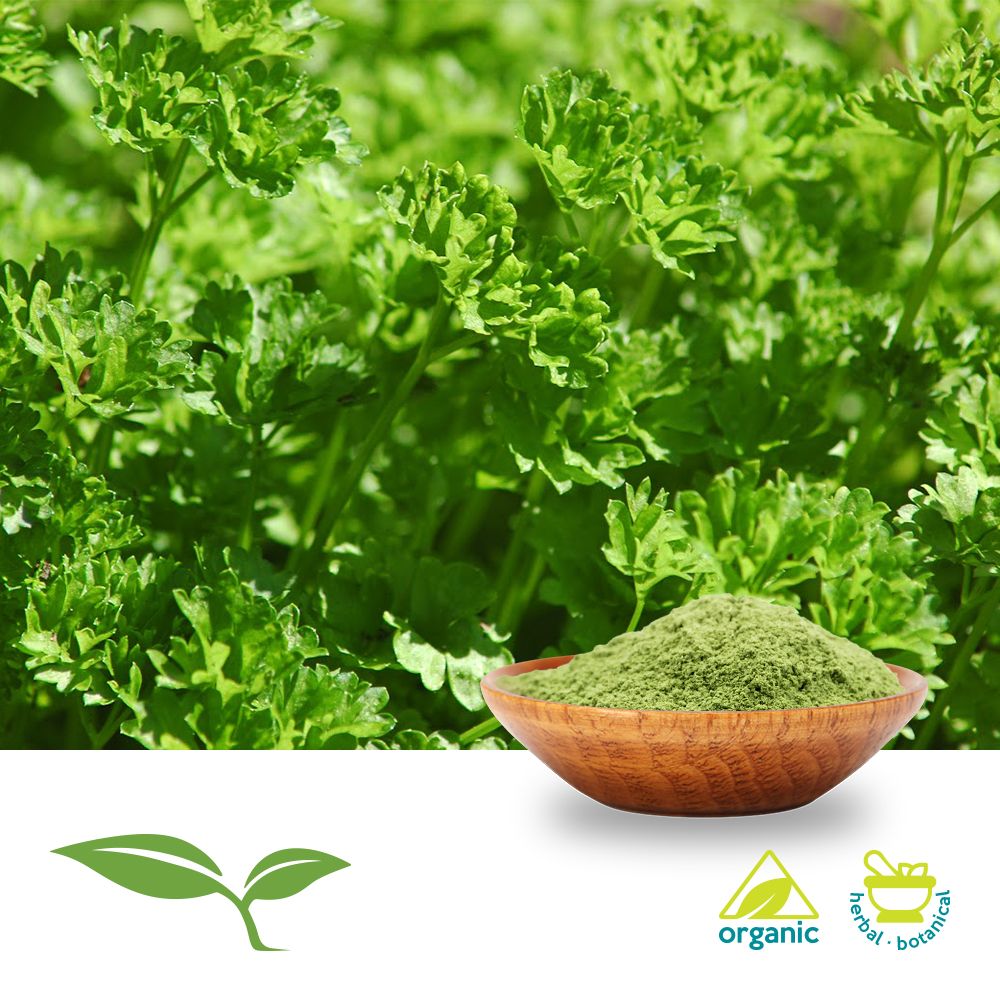 Parsley Powder by American Botanicals