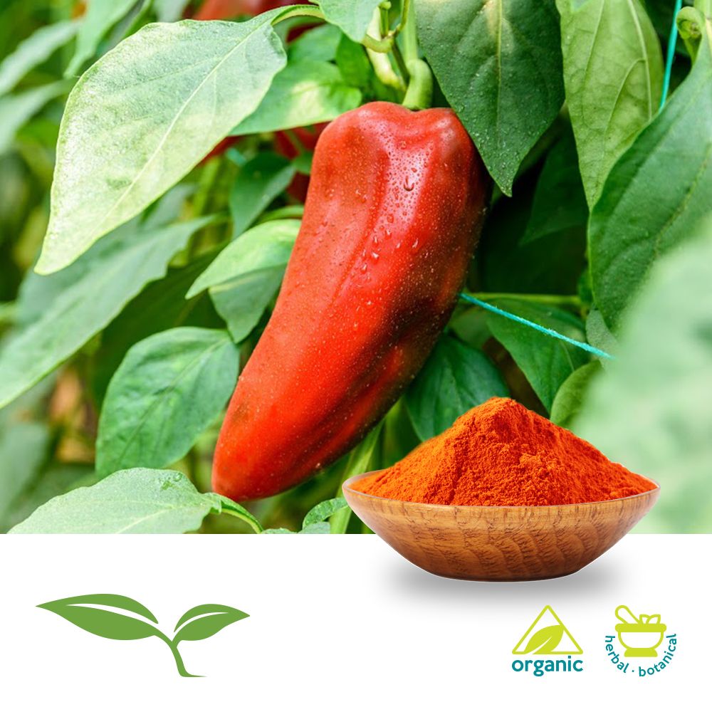 Red Pepper 30-60 HU, Ground (Organic) by American Botanicals
