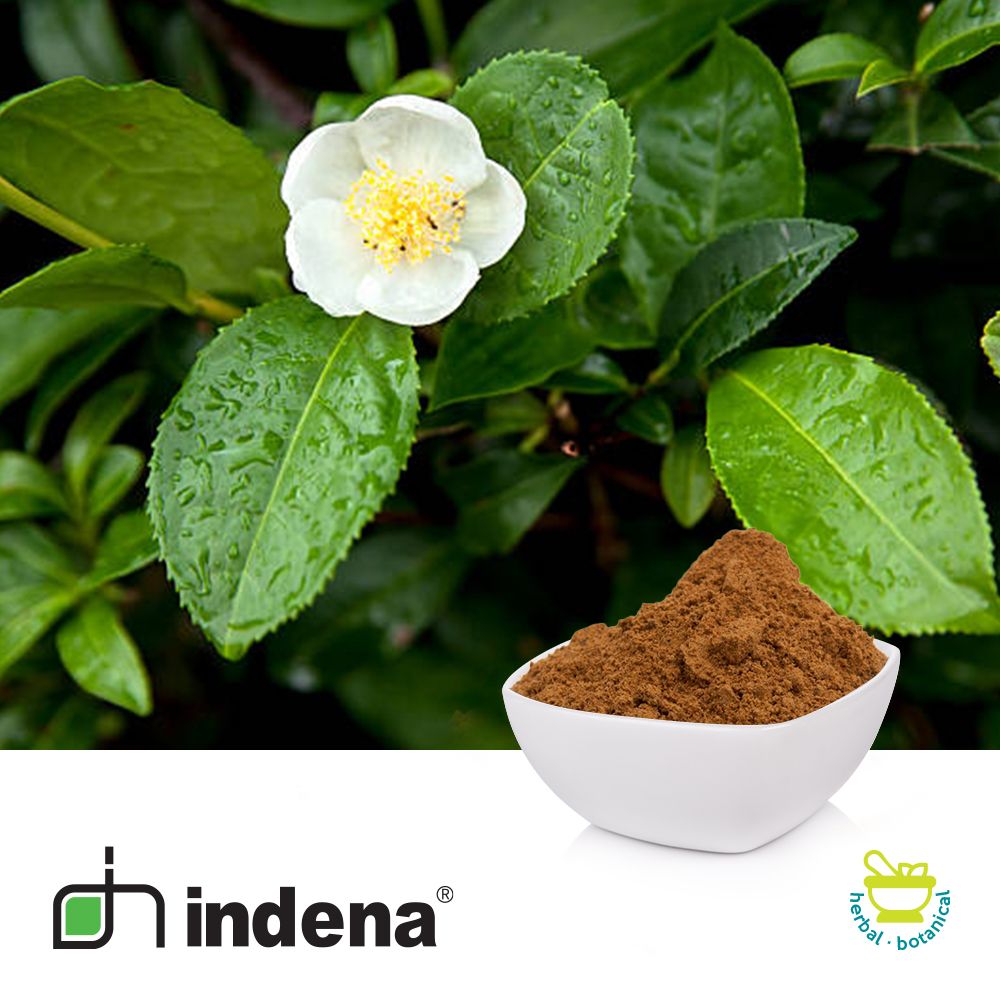 Greenselect® Phytosome®  (Green Tea Extract) by Indena