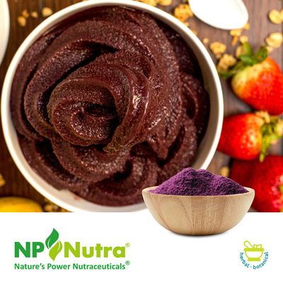 AcaiVida® Acai Juice Powder by NP Nutra by NP Nutra
