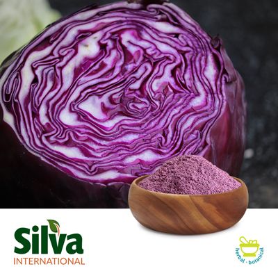 Air Dried Red Cabbage Powder by Silva International