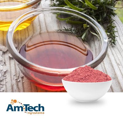 Red Wine Vinegar Powder IP by AmTech Ingredients