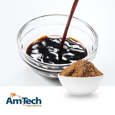 Worcestershire Sauce Powder IP by AmTech Ingredients