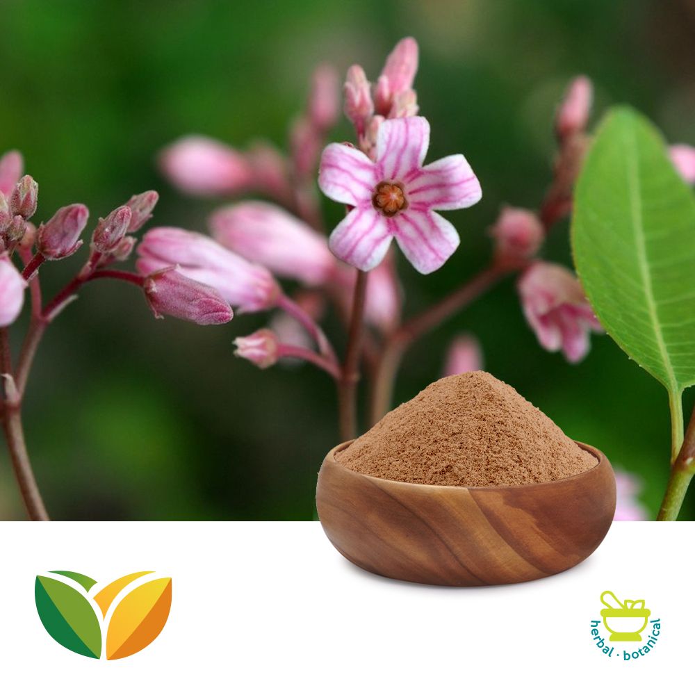 Apocynum Venetum Extract 10:1 by Tianhua Pharmaceutical