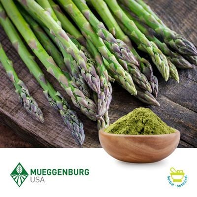 Asparagus Shoot, Powder by Mueggenburg USA