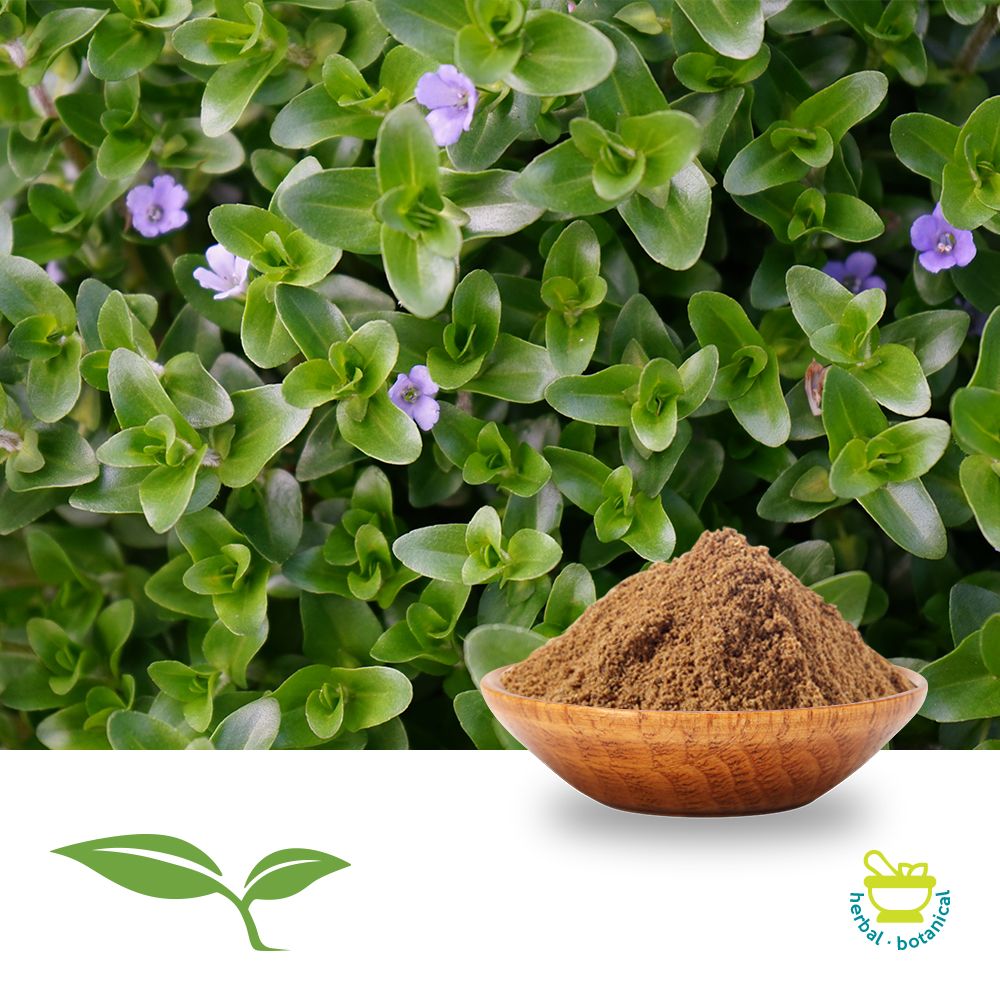 Bacopa Leaf Powder by American Botanicals