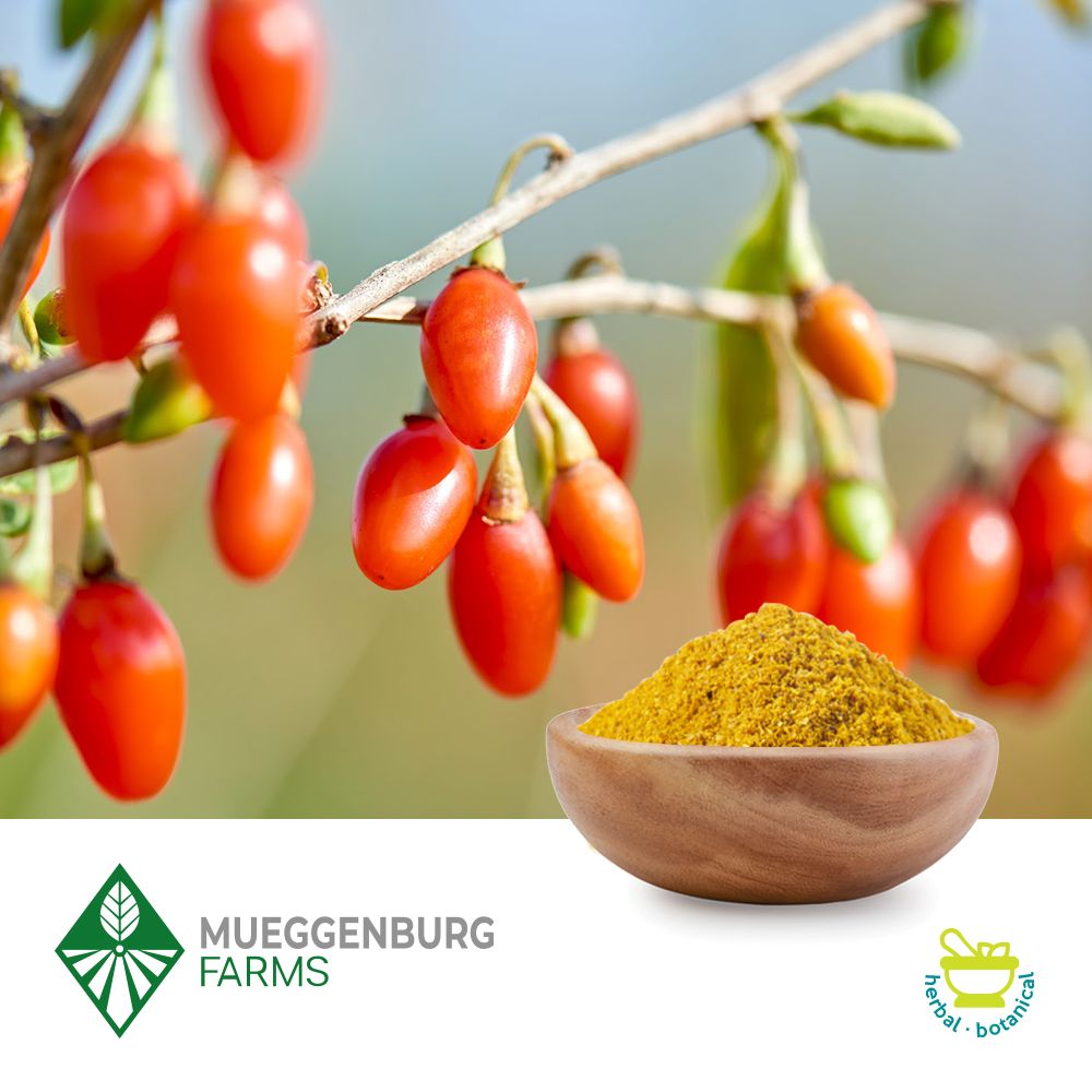 Barberry Root Bark Powder by Mueggenburg USA