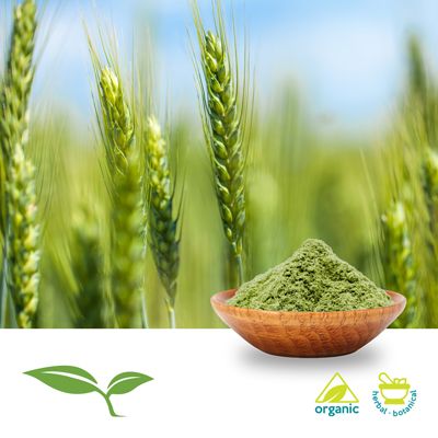 Barley Grass Powder (Organic) by American Botanicals