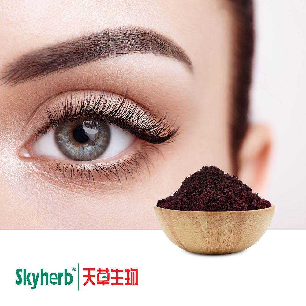 Bilberry Powder Extract 25% Anthocyanosides by Skyherb
