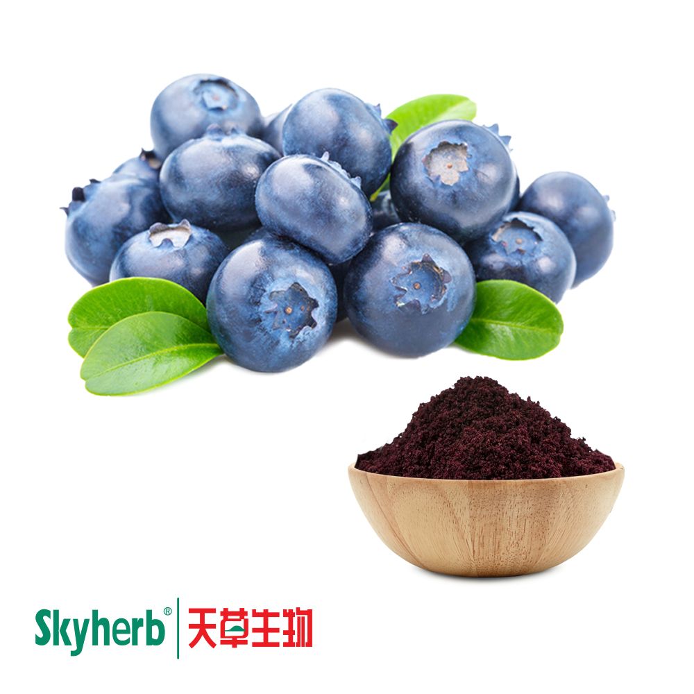 Bilberry Powder Extract 36% Anthocyanosides by Skyherb