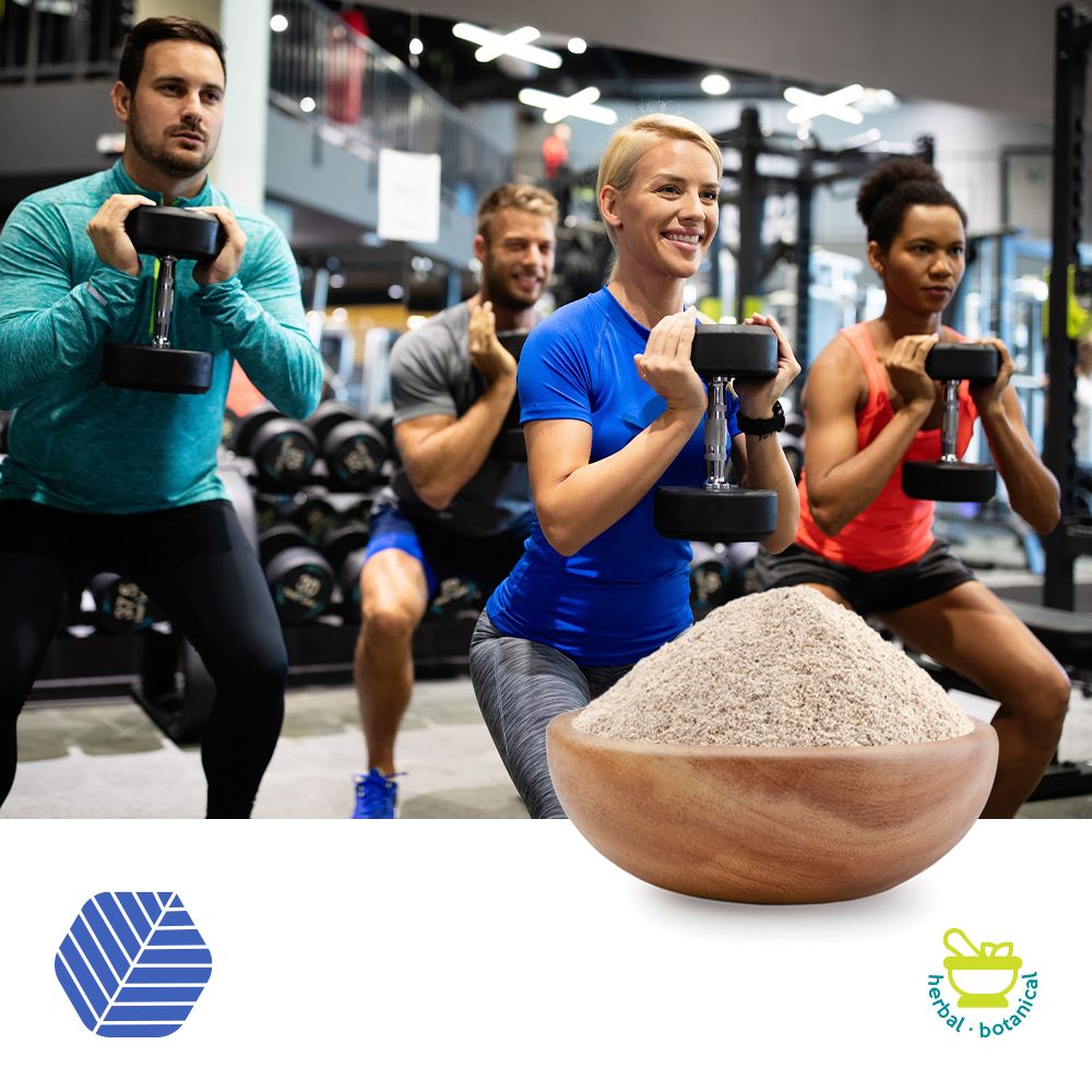 Biocreat Debittered™  (Fenugreek Extract Powder) by Natrusolate