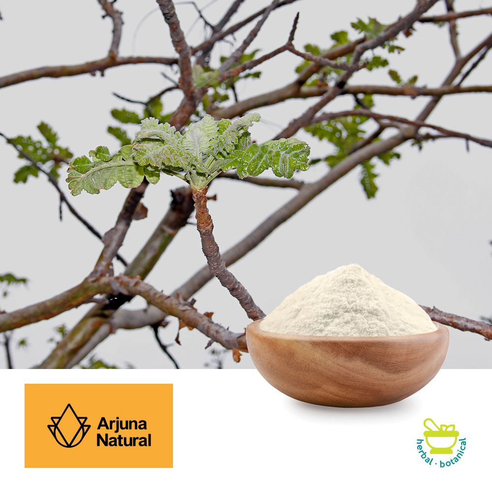 Boswellia Serrata Extract (Standardized 65%) by Arjuna