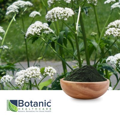 Valerian Officinalis Extract 0.8% by HPLC (NSF-GMP) by Botanic Healthcare