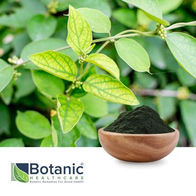 Gymnema Sylvestre Extract 75% (NSF-GMP) by Botanic Healthcare