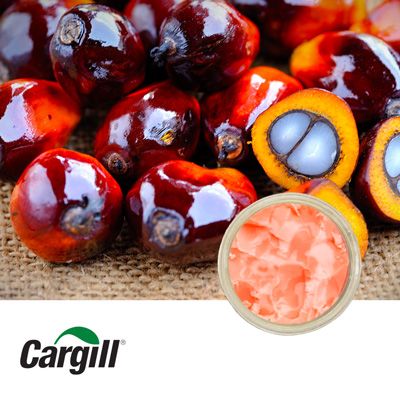Advantage P-100 Shortening by Cargill