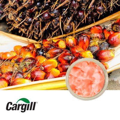 Advantage P-130 Stableflake by Cargill