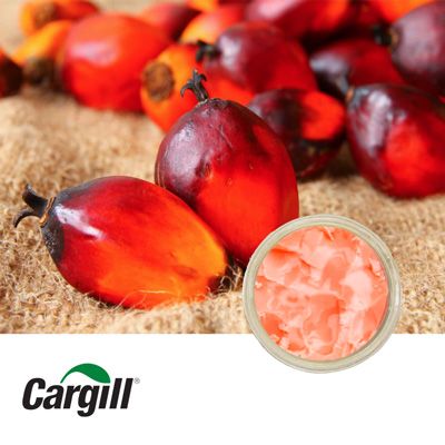 PK-1000 Hydrogenated Palm Kernel Oil by Cargill