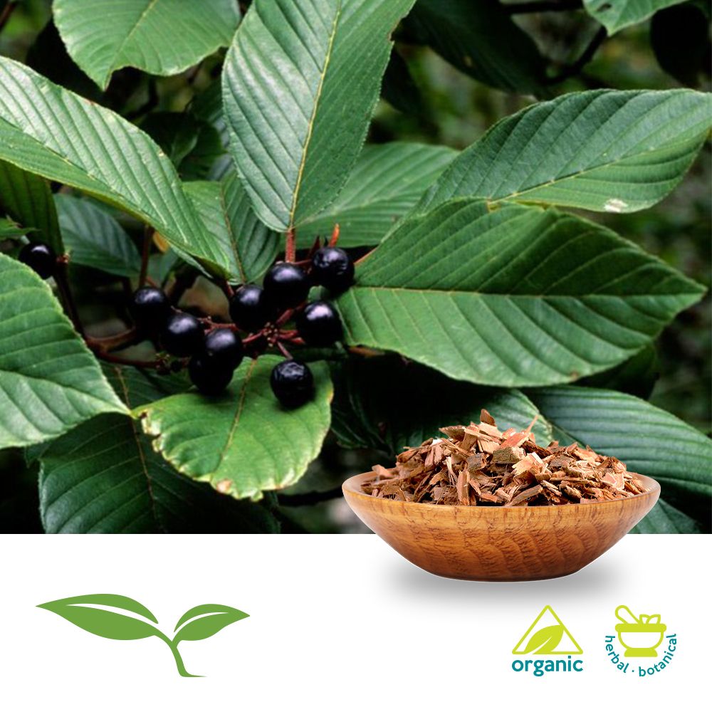 Cascara Sagrada Bark C/S by American Botanicals