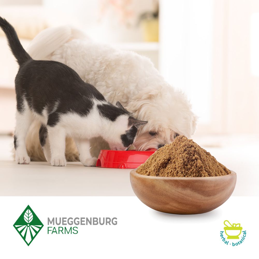 Cascara Sagrada Powder by Mueggenburg USA