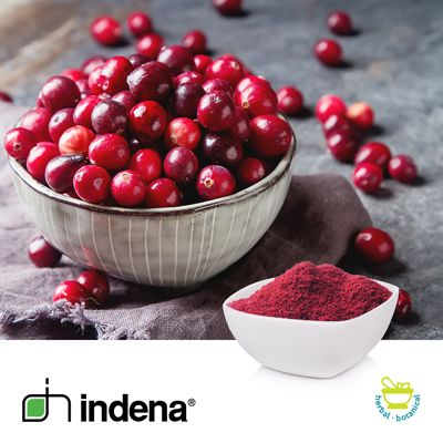 Cranberry Extract by Indena
