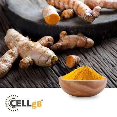 CELLg8® Curcumin Powder by CELLg8