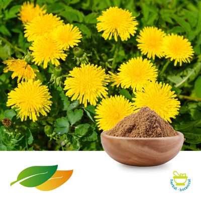 Dandelion Powder by Shandong Lirun Health Technology Co; Ltd