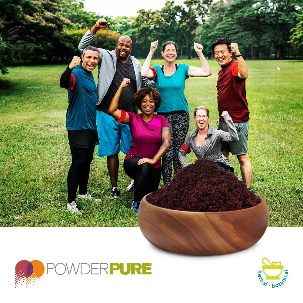 Elderberry Extract 65:1 by PowderPure